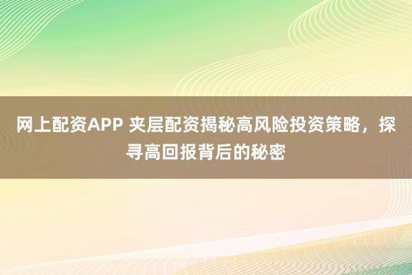 网上配资APP 夹层配资揭秘高风险投资策略，探寻高回报背后的秘密
