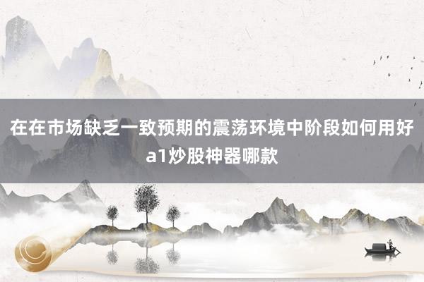 在在市场缺乏一致预期的震荡环境中阶段如何用好a1炒股神器哪款