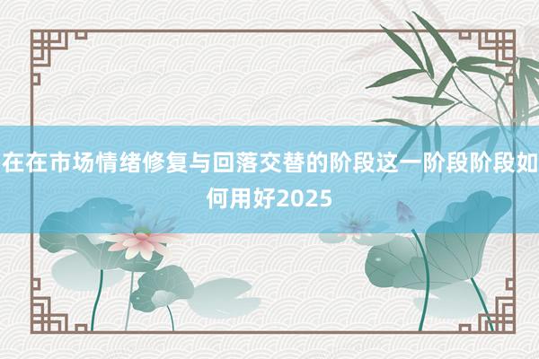 在在市场情绪修复与回落交替的阶段这一阶段阶段如何用好2025