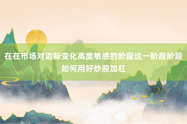 在在市场对边际变化高度敏感的阶段这一阶段阶段如何用好炒股加杠