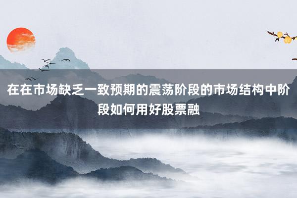 在在市场缺乏一致预期的震荡阶段的市场结构中阶段如何用好股票融