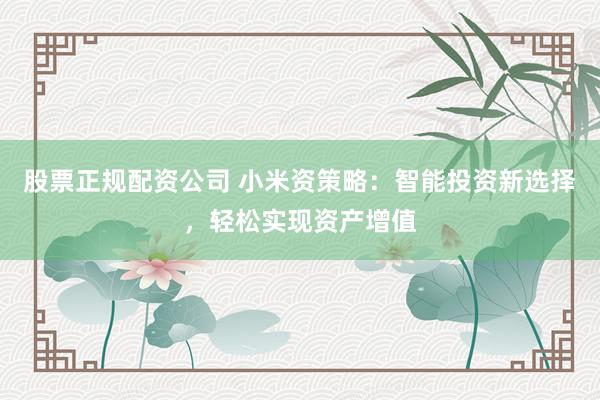 股票正规配资公司 小米资策略：智能投资新选择，轻松实现资产增值